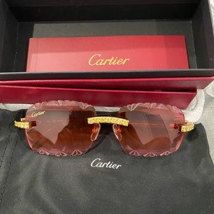 Cartier smooth acrylic limited 2019 horn buffalo c decor sunglasses